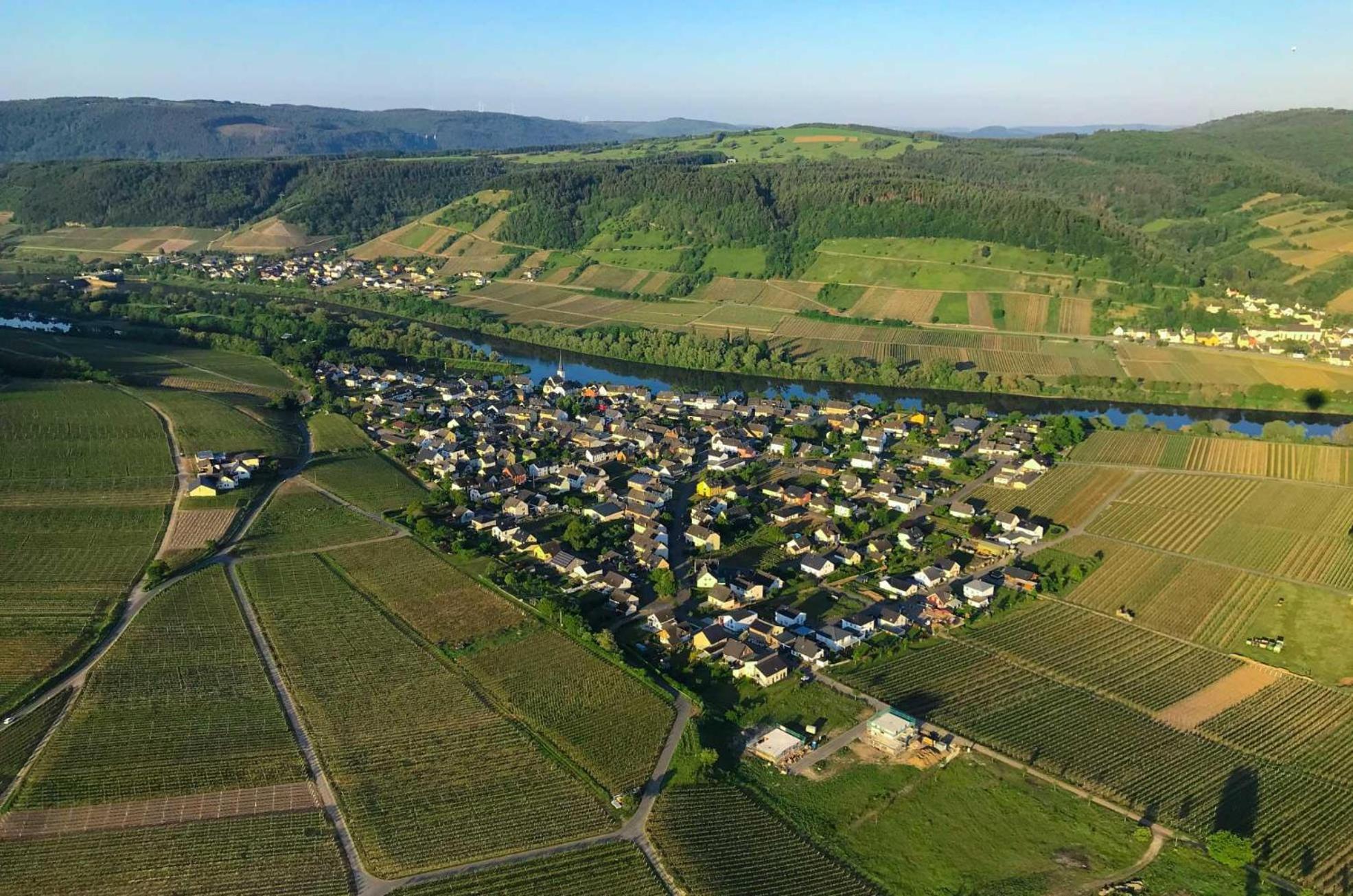 Ferienwohnungen Moselterrasse Detzem Zewnętrze zdjęcie
